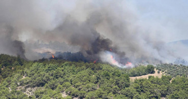 Adana’da korkutan orman yangını: Ekipler müdahale ediyor