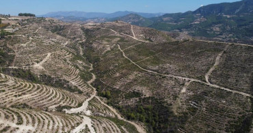Adana'da Yanan Ormanlık Alanın Son Hali Havadan Görüntülendi