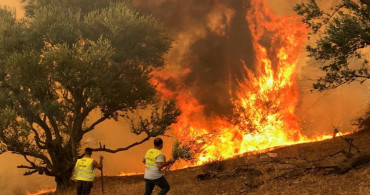 Adıyaman’da orman yangını: Havadan ve karadan müdahale sürüyor