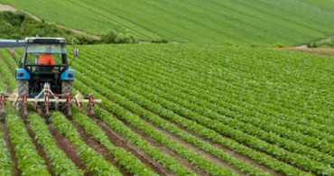 Afyonkarahisar İl Özel İdaresi'nden susuz tarım adımı! 'Kuru Tarım Arazilerinde Gelir Getirici Ürün Yetiştiriciliği' Projesiyle birçok arazi tarıma kazandırılacak