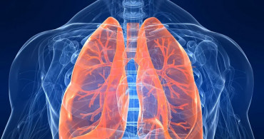 Akciğeri Temizleyen Besinler Neler?