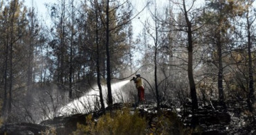 Alanya'da Orman Yangını