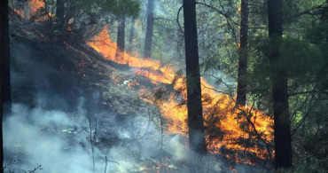 Alanya’da yangın paniği: Ekipler erken davranınca kontrol altına alındı