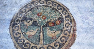 Amasya’daki 1800 Yıllık Elmalı Mozaik Restore Edildi