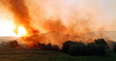 Ankara'da Korkutan Yangın: 7 Ev Hasara Uğradı