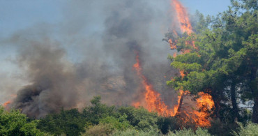 Antalya ve İzmir’de orman yangını: Ekipler müdahale ediyor