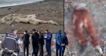 Antalya’da kabus gibi olay: 5 günde 6 ceset sahile vurdu