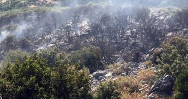 Antalya'daki Orman Yangınında Bilanço Ağır