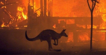 Avustralya'daki Yangınlar 240 Gün Sonra Sona Erdi