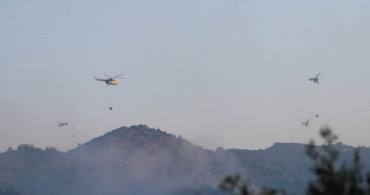 Bakan Bekir Pakdemirli: İzmir Menderes'teki Yangınla İlgili Bir Kişi Gözaltına Alındı
