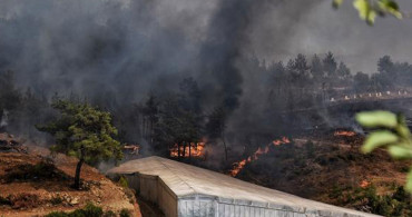 Bakan Pakdemirli: Hatay ve Mersin'deki Yangınları Söndürme Çalışmaları Devam Ediyor