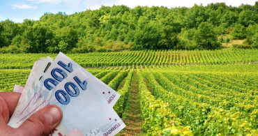 Bakan Yumaklı'dan müjde: Çiftçilere 3 Milyar 495 milyon lira tarımsal destek ödemesi yapıldı!