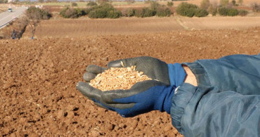 Bakanlıktan, Sıfır Gümrükle Buğday İthali'ne İlişkin Açıklama