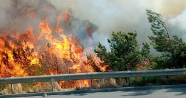 Balıkesir yanıyor! Orman yangınları korkutmaya başladı! Aman dikkat