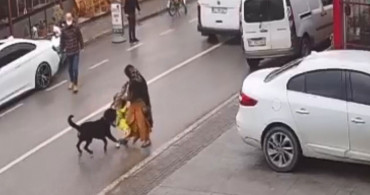 Başıboş bırakılan köpek kadının kucağından çocuğunu düşürdü... O anlar kameraya böyle yansıdı