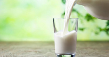 Beslenme Çantasından Sütü Eksik Etmeyin