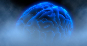 Beyin Sisi Nedir?