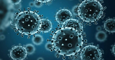 Bilim insanlarından endişelendiren açıklama: O virüs ilk kez insanda görüldü