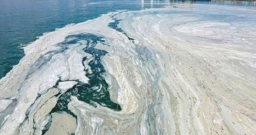 Bilim insanlarının yürüttüğü çalışma sonuçlandı: Marmara Denizi'nde müsilaj tehlikesinden başa bir risk daha bulunuyor!