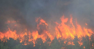 Çanakkale'de Korkutan Orman Yangını! 