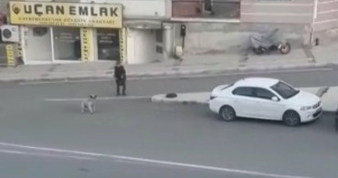 Buca Belediyesine Köpek Saldırıları Şikayeti