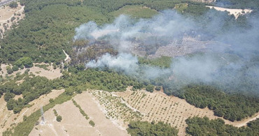 Buca'da Çıkan Yangında 5 Hektarlık Orman Zarar Gördü