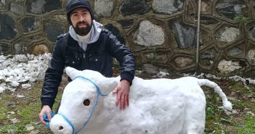 Bursa'da Kardan Boğayı Görenler Gözlerine İnanamadı