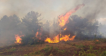Bursa’da korkutan orman yangını: Ekipler saatlerdir müdahale ediyor