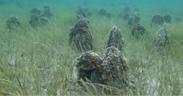 Çanakkale Boğazı'nda 'Pina' Mezarlığı Görüntülendi