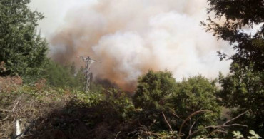 Çanakkale'de Korkutan Yangın! Hem Havadan Hem Karadan Müdahale!