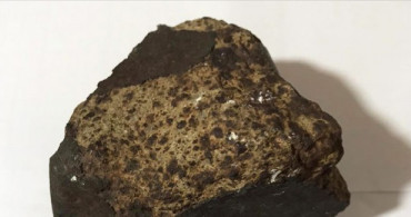 Ceviz Ağacı Dikiyordu Meteorit Buldu