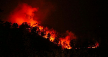 Çevre ve Şehircilik Bakanı Murat Kurum'dan Orman Yangınları Açıklaması! İmara Açılacak Mı?