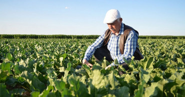 Çiftçilere destek müjdesi: Ödemeler bugün başlıyor