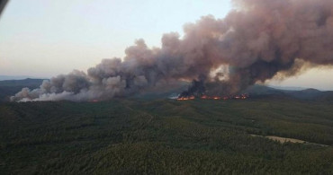 Ciğerimiz yanıyor, Ege alevler altında! Muğla'da orman yangını, ekipler seferber oldu!