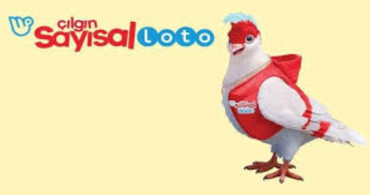 Çılgın Sayısal Lotoda en çok hangi rakamlar çıktı? 2022 Çılgın Sayısal Loto en çok kazandıran rakamlar