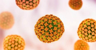 Çin'de Yeni Virüs Görüldü! Bunyavirüs Nedir, Belirtileri Nelerdir?