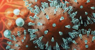 Coronavirüs Yüzeylerde 3 Gün Yaşayabiliyor