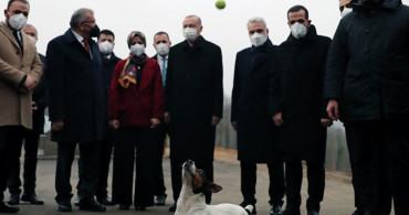 Cumhurbaşkanı Erdoğan, Ziyaret Ettiği Barınakta Oyun Oynadığı Köpeği Sevdi: 'Sahiplenebilirim'