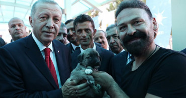 Cumhurbaşkanı Erdoğan'a Sivas'ta Yavru Kangal Hediyesi