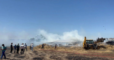 Diyarbakır ve Mardin yangınları ders olmadı: Tekirdağ’da da anız yangını meydana geldi! 50 dönüm ekili buğday küle döndü