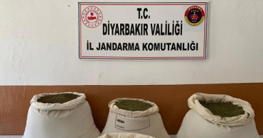 Diyarbakır'da Uyuşturucu Operasyonu: 5 Milyon 430 Bin 704 Kök Hint Keneviri Ele Geçirildi