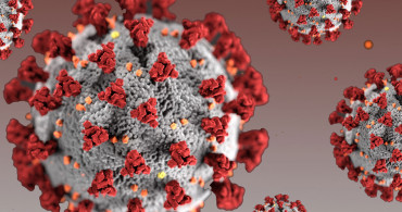 DSÖ'den Açıklama: Koronavirüs Ne Zaman Bitecek?