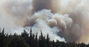 Edirne’de Korkutan Orman Yangını