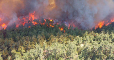 Ekipler harekete geçti: Antalya’da orman yangını