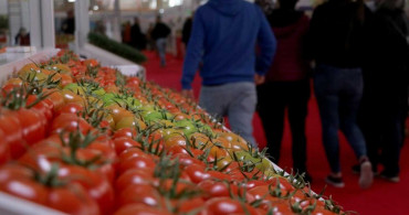 Ekonomide seferberlik! Bakan Nebati'den önemli açıklamalar: Gıda fiyatlarındaki artış için 2 büyük adım
