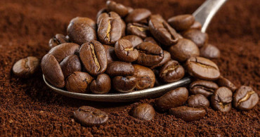 Etiyopya’dan sevindiren haber! 2 milyar kahve dikilecek