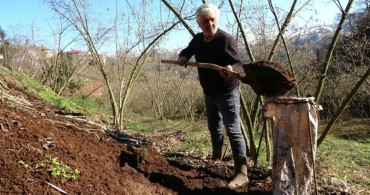 Fiyatı İkiye Katlandı! Hayvan Gübresine Talep Arttı