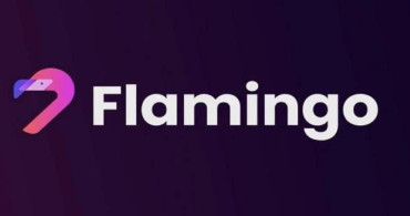 FLM coin alınır mı? Flamingo yatırım tavsiyesi var mı? FLM coin geleceği var mı?