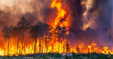 Fransa felaketi yaşıyor! 6 gündür devam eden orman yangınlarında 14 bin hektarlık alan küle döndü