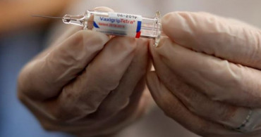 Fransa'da H3N2 Virüsünden 2 Bin 800 Kişi Hayatını Kaybetti